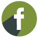 Facebook Footer Icon Hover