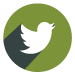 Twitter Footer Icon Hover