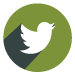 Twitter Footer Icon
