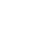 Behance Icon