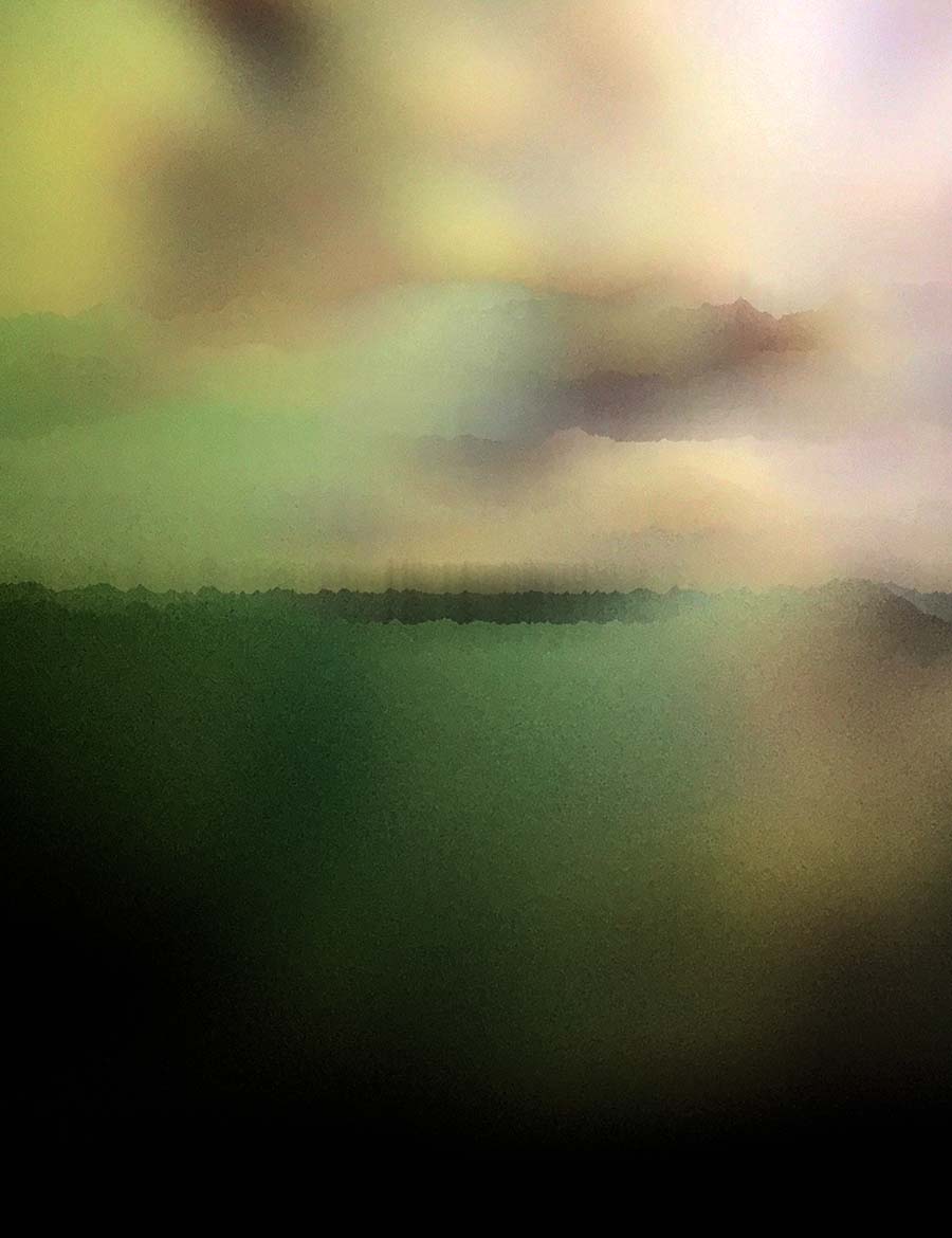 Fields 4 | Wyatt Tinder