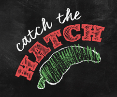Catch the Hatch Thumbnail
