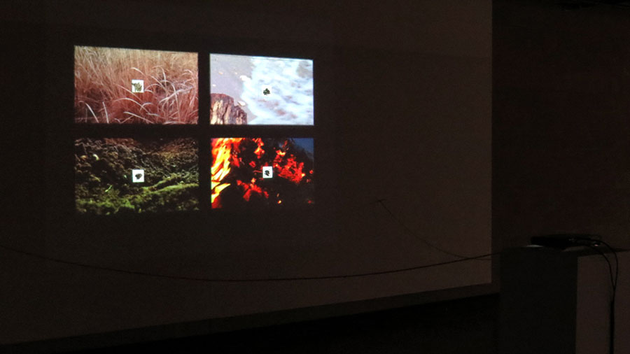 From Nature 5 installation view | Wyatt Tinder